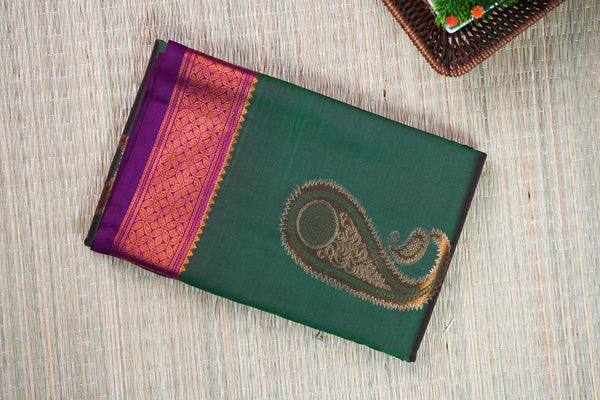Patola Double Ikat Saree